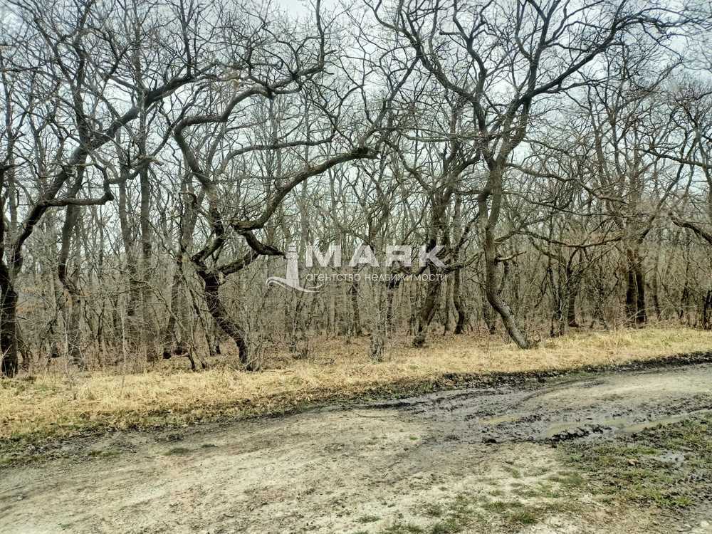 Дом 154 кв.м на участке 10 сот