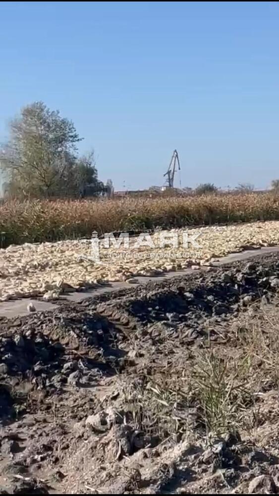 Участок 7.3 сот. (СНТ, ДНП)