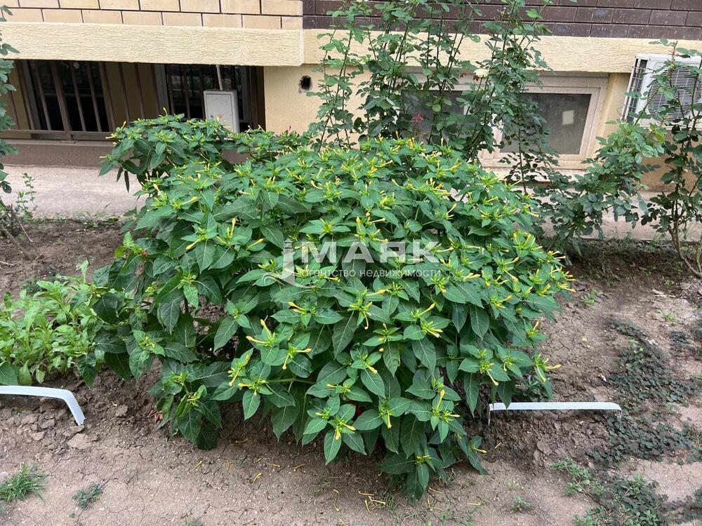 2-к. квартира 51.5 кв.м, 12/13