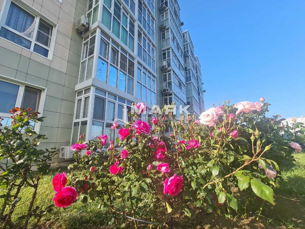 Студия 37 кв.м, 6/8