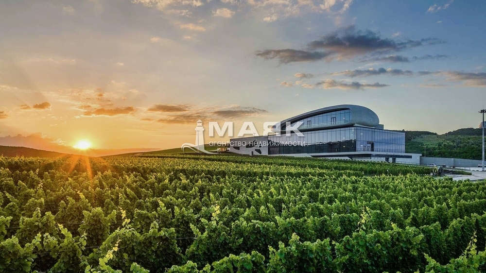 Участок 10.4 сот. (с/х)