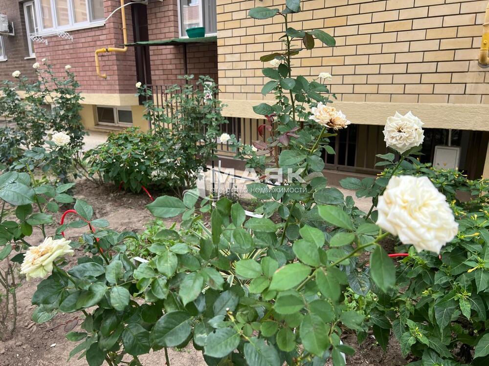 2-к. квартира 51.5 кв.м, 12/13