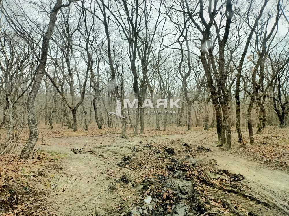 Дом 154 кв.м на участке 10 сот