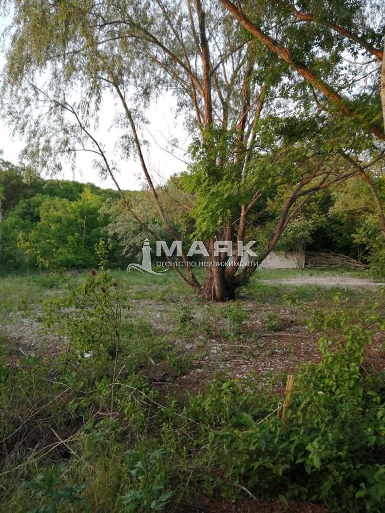 Участок 10 сот. (ИЖС)