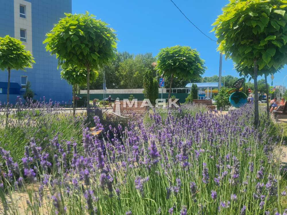 Студия 35 кв.м, цоколь/5