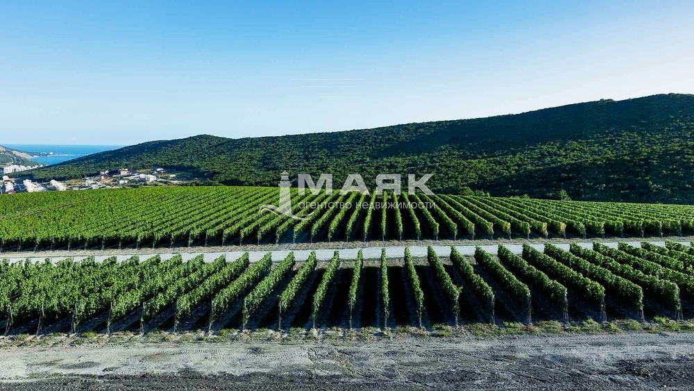 Участок 10.4 сот. (с/х)