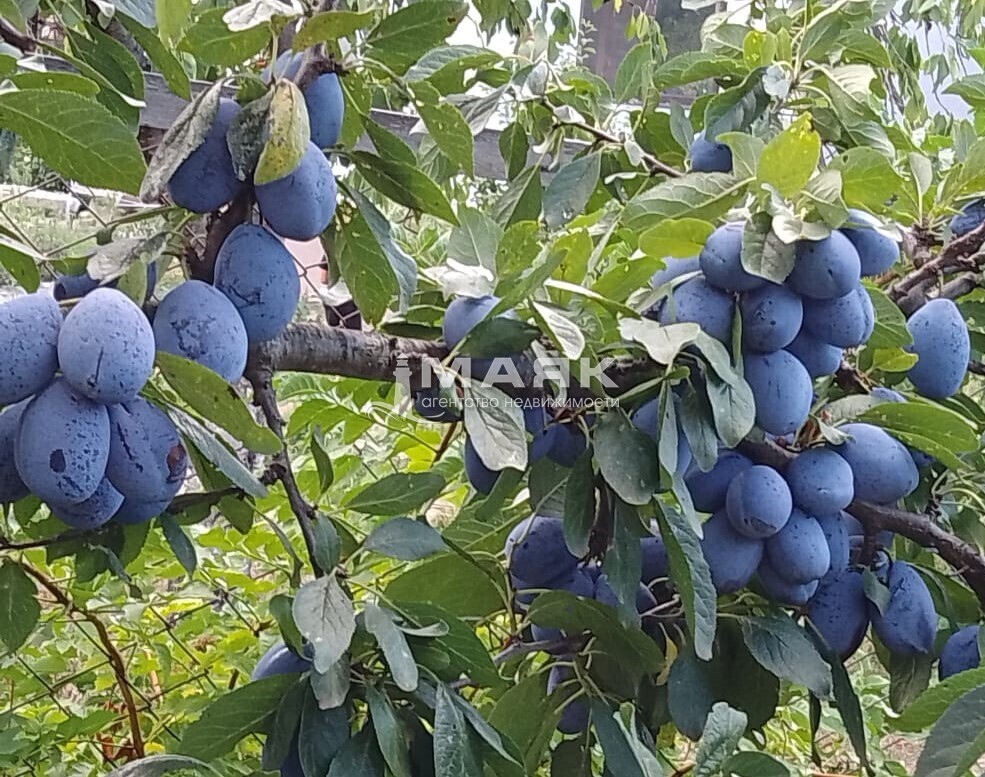 Дача 62 кв.м на участке 6 сот