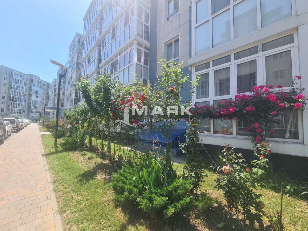 Студия 33.6 кв.м, 1/8