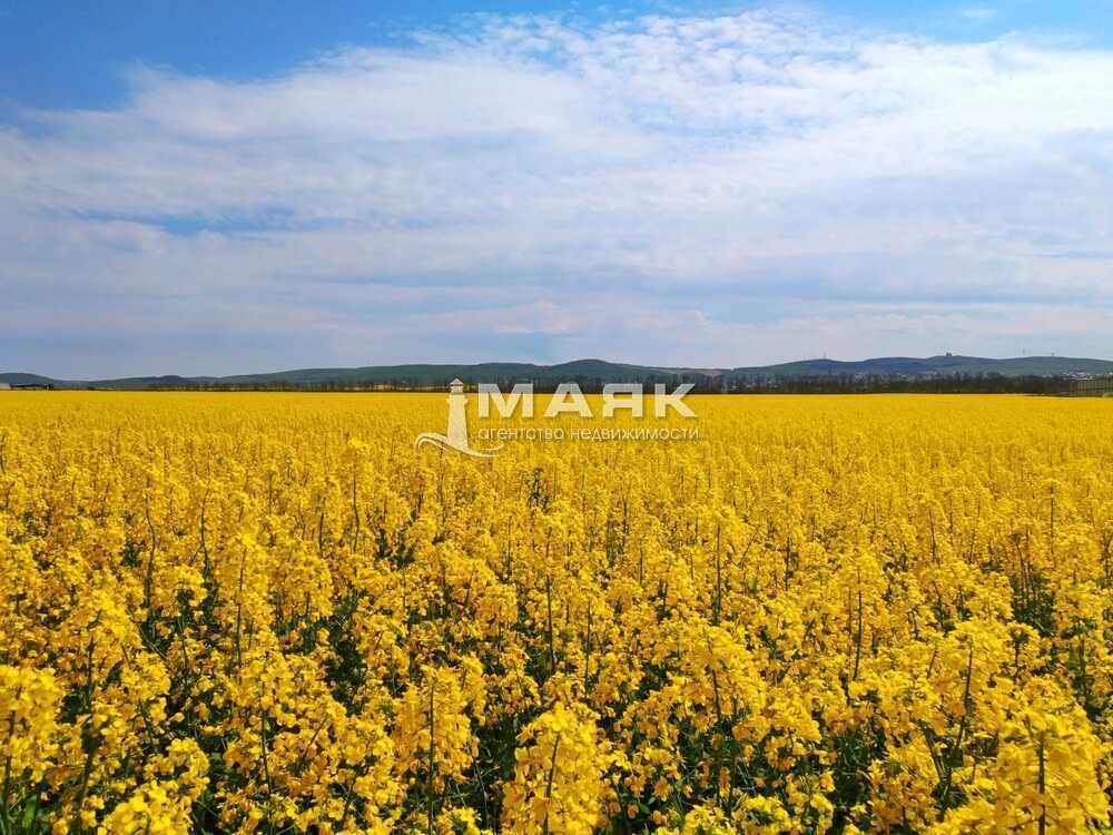 Участок 8 сот. (СНТ, ДНП)