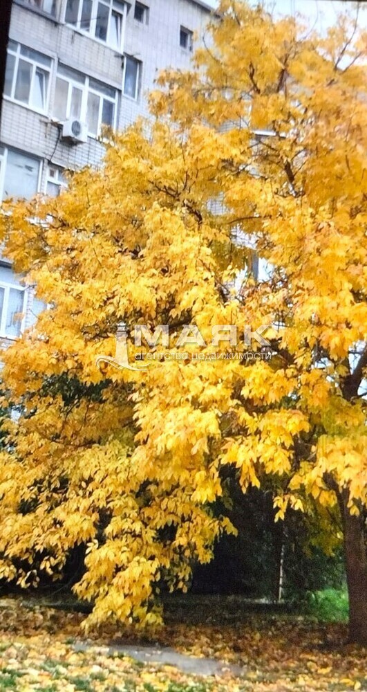 3-к. квартира 75.5 кв.м, 3/5