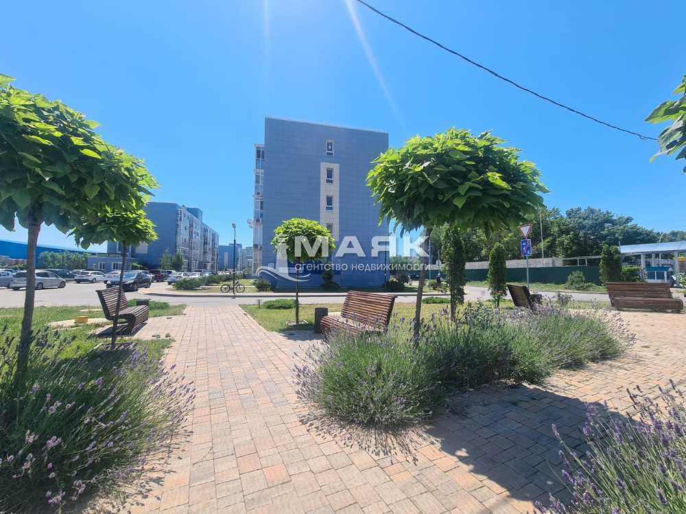 Студия 35 кв.м, цоколь/5