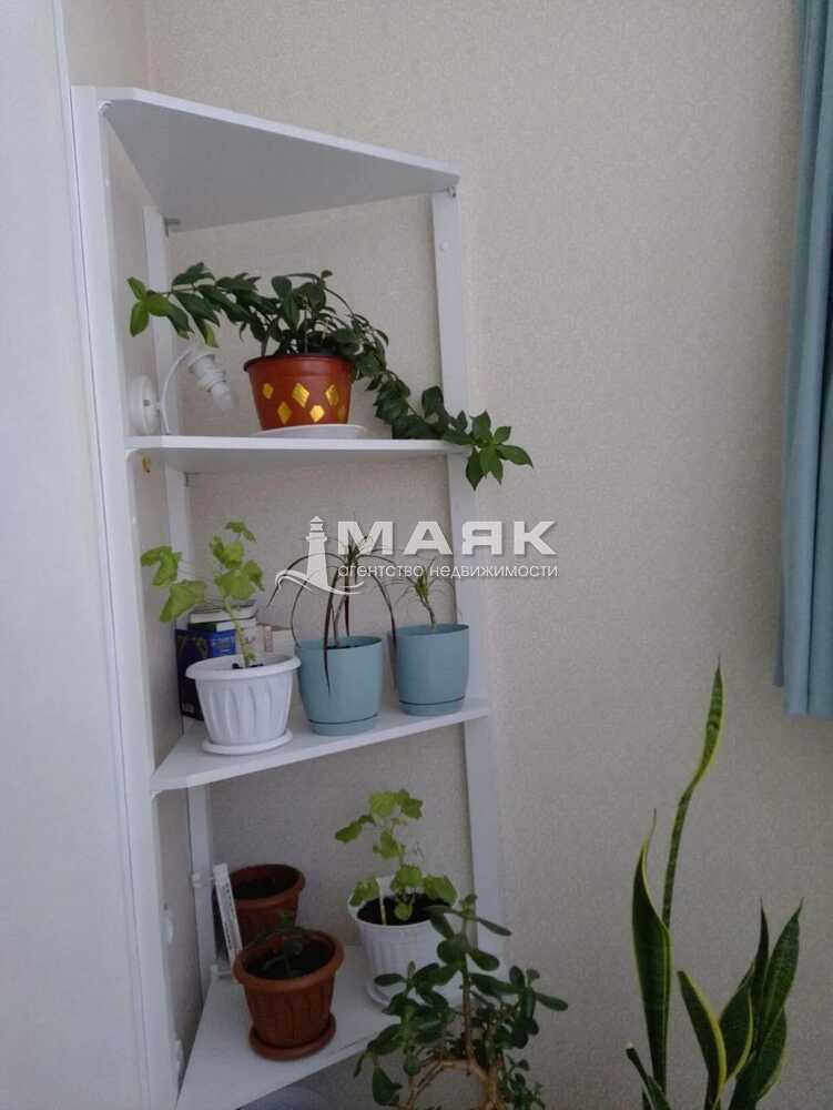 Студия 31 кв.м, 1/8