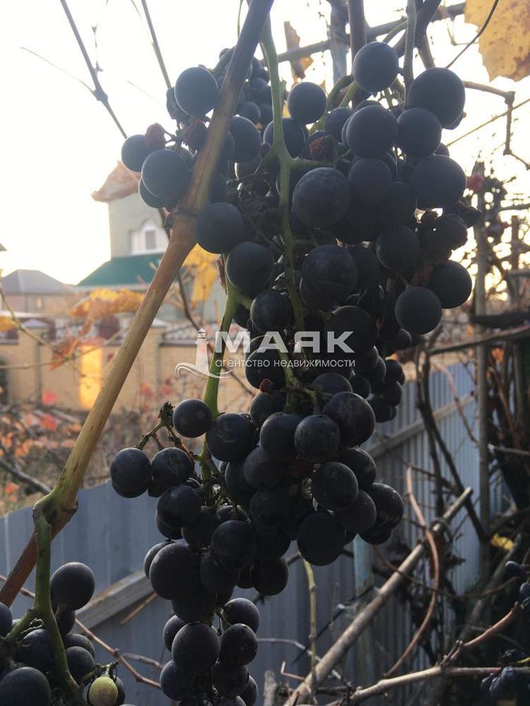 Дом 200 кв.м на участке 9 сот